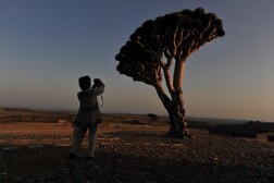 Grupo de turistas italianos varados en la isla de Socotra en Yemen