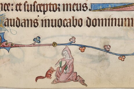 In alcune corti medievali gli scoiattoli erano usati come animali da compagnia (fonte: British Library Board Ms Add. MS 42130 f. 33r)